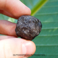 Hammadah al Hamra 346 (aka. Ghadamis) - L6 Ordinary Chondrite - Complete Individual - 35.7g - Libya