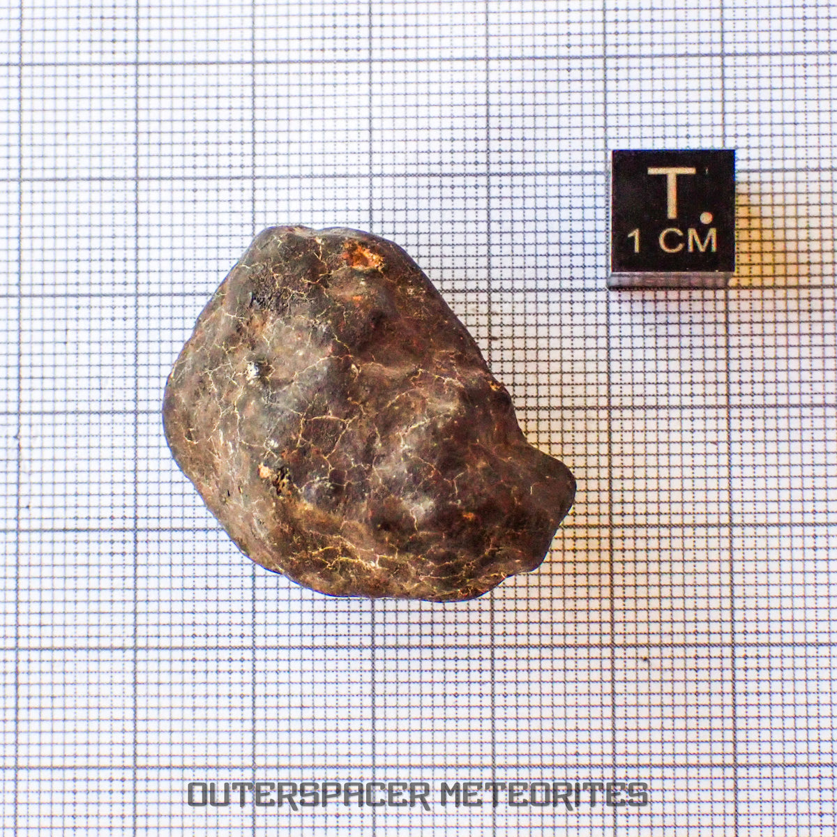 Hammadah al Hamra 346 (aka. Ghadamis) - L6 Ordinary Chondrite - Complete Individual - 35.7g - Libya