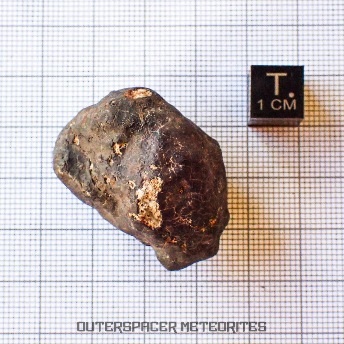 Hammadah al Hamra 346 (aka. Ghadamis) - L6 Ordinary Chondrite - Complete Individual - 35.7g - Libya
