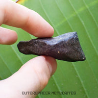Hammadah al Hamra 346 (aka. Ghadamis) - L6 Ordinary Chondrite - Complete Individual - 43.65g - Libya