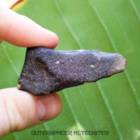 Hammadah al Hamra 346 (aka. Ghadamis) - L6 Ordinary Chondrite - Complete Individual - 43.65g - Libya