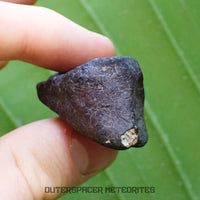 Hammadah al Hamra 346 (aka. Ghadamis) - L6 Ordinary Chondrite - Complete Individual - 43.65g - Libya