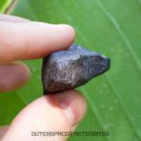Hammadah al Hamra 346 (aka. Ghadamis) - L6 Ordinary Chondrite - Complete Individual - 43.65g - Libya