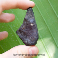 Hammadah al Hamra 346 (aka. Ghadamis) - L6 Ordinary Chondrite - Complete Individual - 43.65g - Libya