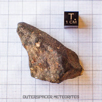 Hammadah al Hamra 346 (aka. Ghadamis) - L6 Ordinary Chondrite - Complete Individual - 43.65g - Libya