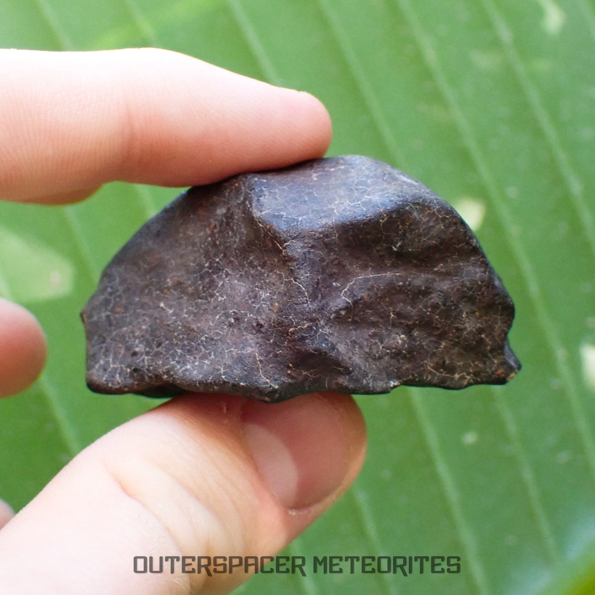 Hammadah al Hamra 346 (aka. Ghadamis) - L6 Ordinary Chondrite - Complete Individual - 86.8g - Libya