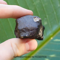 Hammadah al Hamra 346 (aka. Ghadamis) - L6 Ordinary Chondrite - Complete Individual - 86.8g - Libya