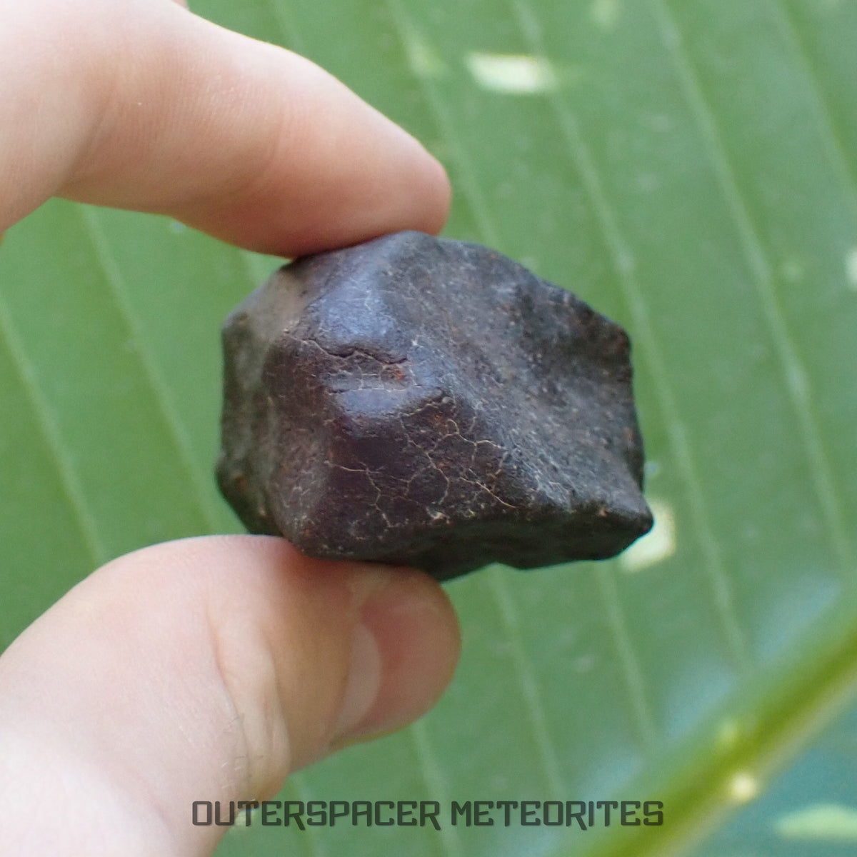 Hammadah al Hamra 346 (aka. Ghadamis) - L6 Ordinary Chondrite - Complete Individual - 86.8g - Libya