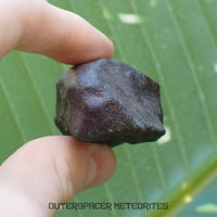 Hammadah al Hamra 346 (aka. Ghadamis) - L6 Ordinary Chondrite - Complete Individual - 86.8g - Libya