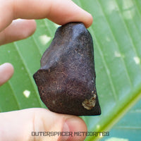 Hammadah al Hamra 346 (aka. Ghadamis) - L6 Ordinary Chondrite - Complete Individual - 86.8g - Libya