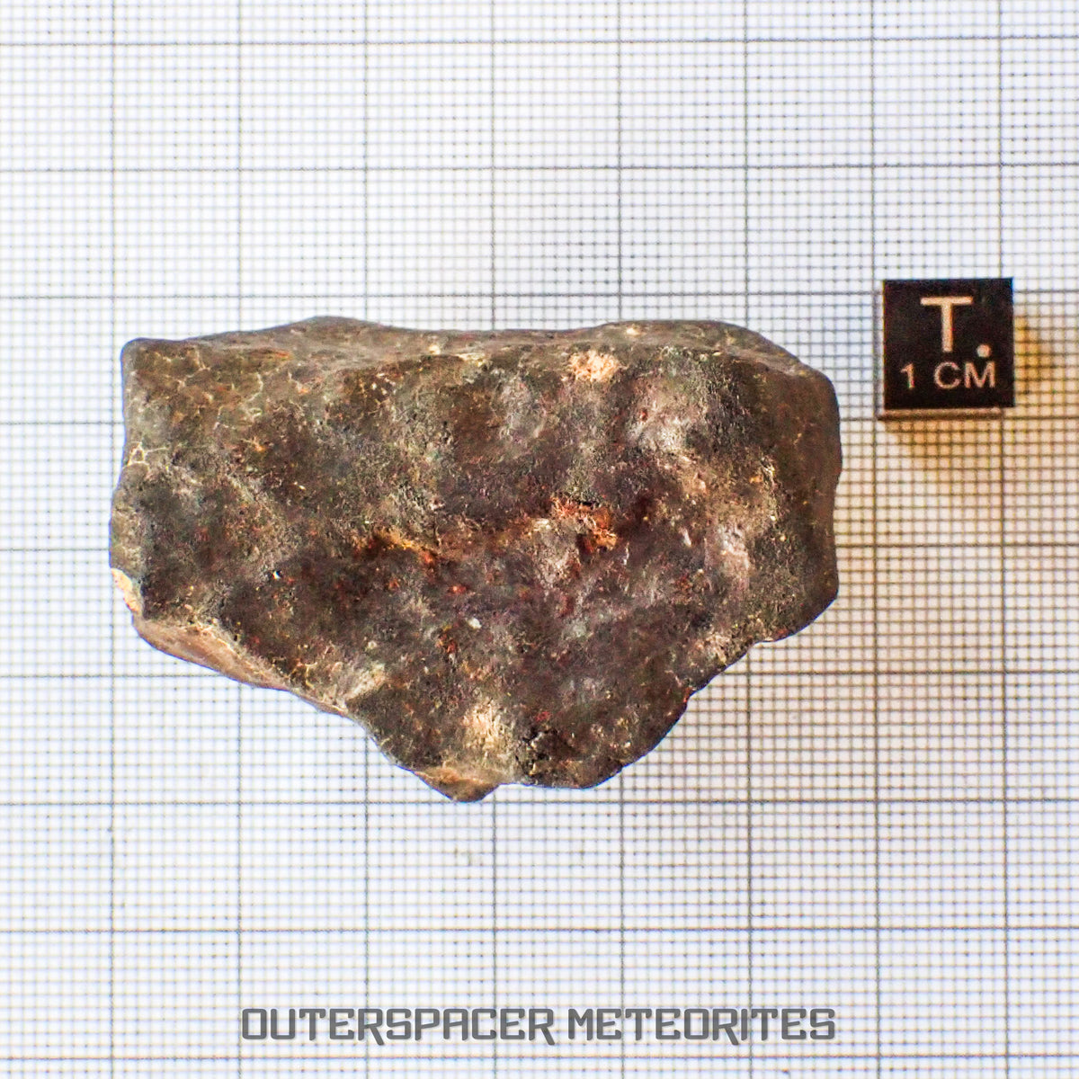 Hammadah al Hamra 346 (aka. Ghadamis) - L6 Ordinary Chondrite - Complete Individual - 86.8g - Libya