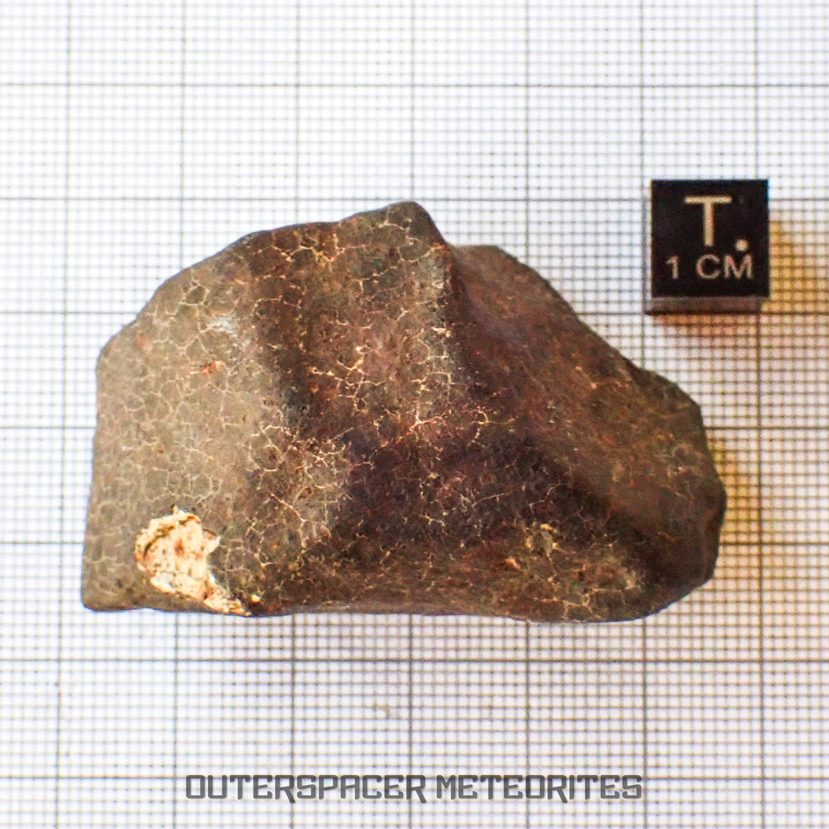 Hammadah al Hamra 346 (aka. Ghadamis) - L6 Ordinary Chondrite - Complete Individual - 86.8g - Libya