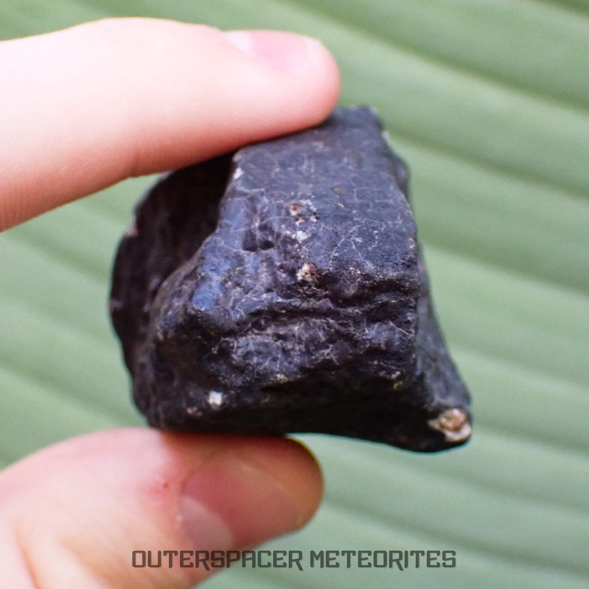 Hammadah al Hamra 346 (aka. Ghadamis) - L6 Ordinary Chondrite - Complete Individual - 115.50g - Libya