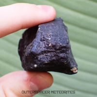 Hammadah al Hamra 346 (aka. Ghadamis) - L6 Ordinary Chondrite - Complete Individual - 115.50g - Libya