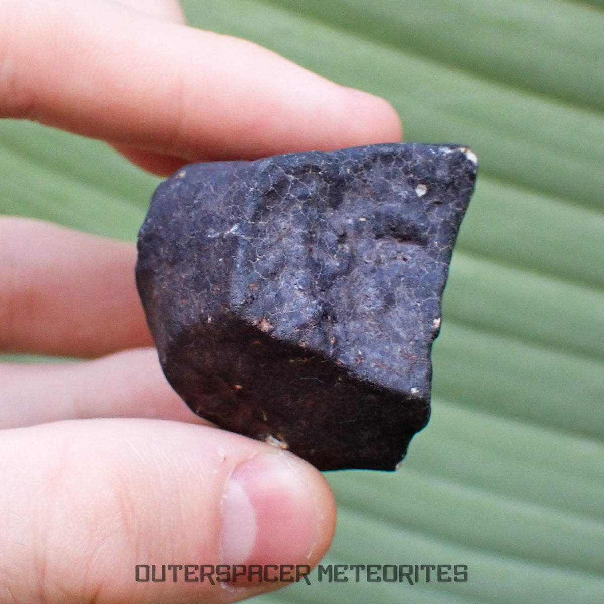 Hammadah al Hamra 346 (aka. Ghadamis) - L6 Ordinary Chondrite - Complete Individual - 115.50g - Libya