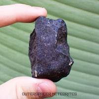 Hammadah al Hamra 346 (aka. Ghadamis) - L6 Ordinary Chondrite - Complete Individual - 115.50g - Libya