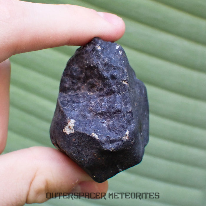 Hammadah al Hamra 346 (aka. Ghadamis) - L6 Ordinary Chondrite - Complete Individual - 115.50g - Libya