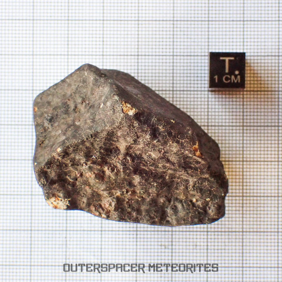 Hammadah al Hamra 346 (aka. Ghadamis) - L6 Ordinary Chondrite - Complete Individual - 115.50g - Libya
