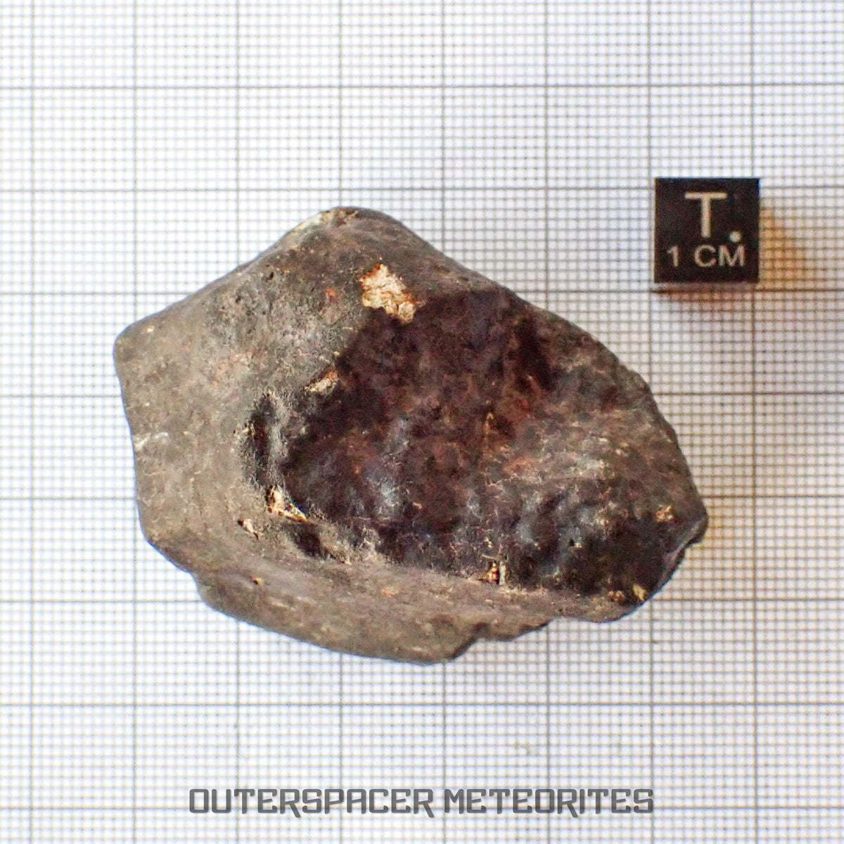 Hammadah al Hamra 346 (aka. Ghadamis) - L6 Ordinary Chondrite - Complete Individual - 115.50g - Libya