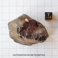 Hammadah al Hamra 346 (aka. Ghadamis) - L6 Ordinary Chondrite - Complete Individual - 115.50g - Libya