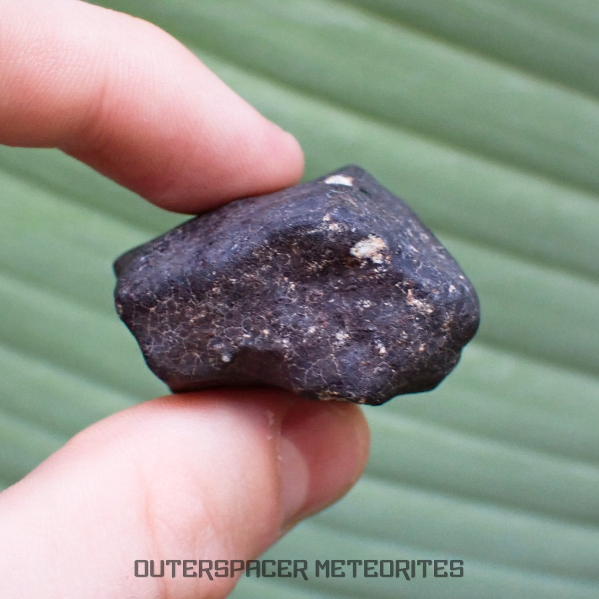 Hammadah al Hamra 346 (aka. Ghadamis) - L6 Ordinary Chondrite - Complete Individual - 61.2g - Libya