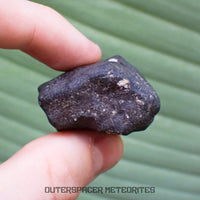 Hammadah al Hamra 346 (aka. Ghadamis) - L6 Ordinary Chondrite - Complete Individual - 61.2g - Libya