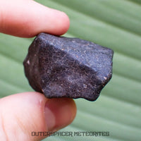 Hammadah al Hamra 346 (aka. Ghadamis) - L6 Ordinary Chondrite - Complete Individual - 61.2g - Libya
