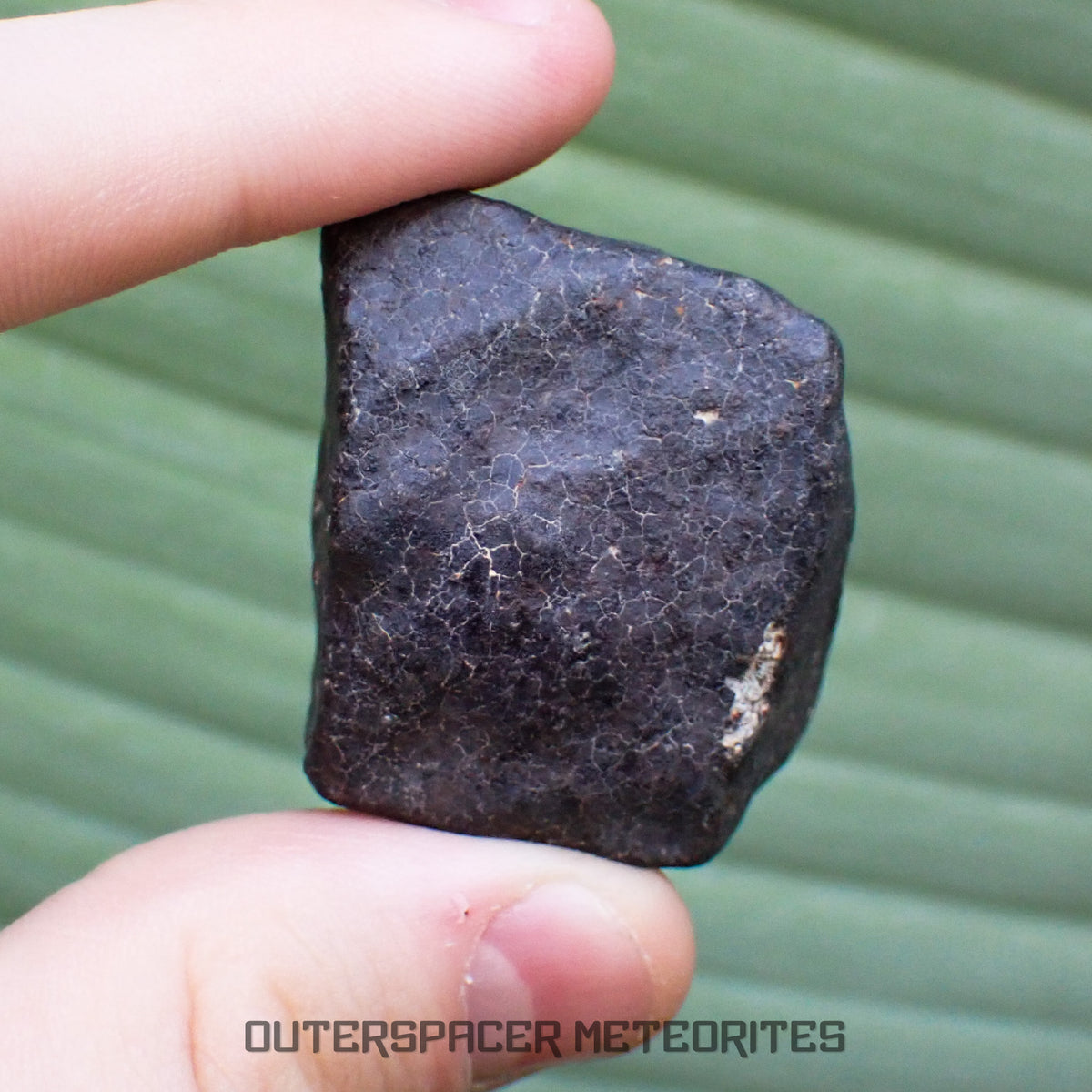 Hammadah al Hamra 346 (aka. Ghadamis) - L6 Ordinary Chondrite - Complete Individual - 61.2g - Libya