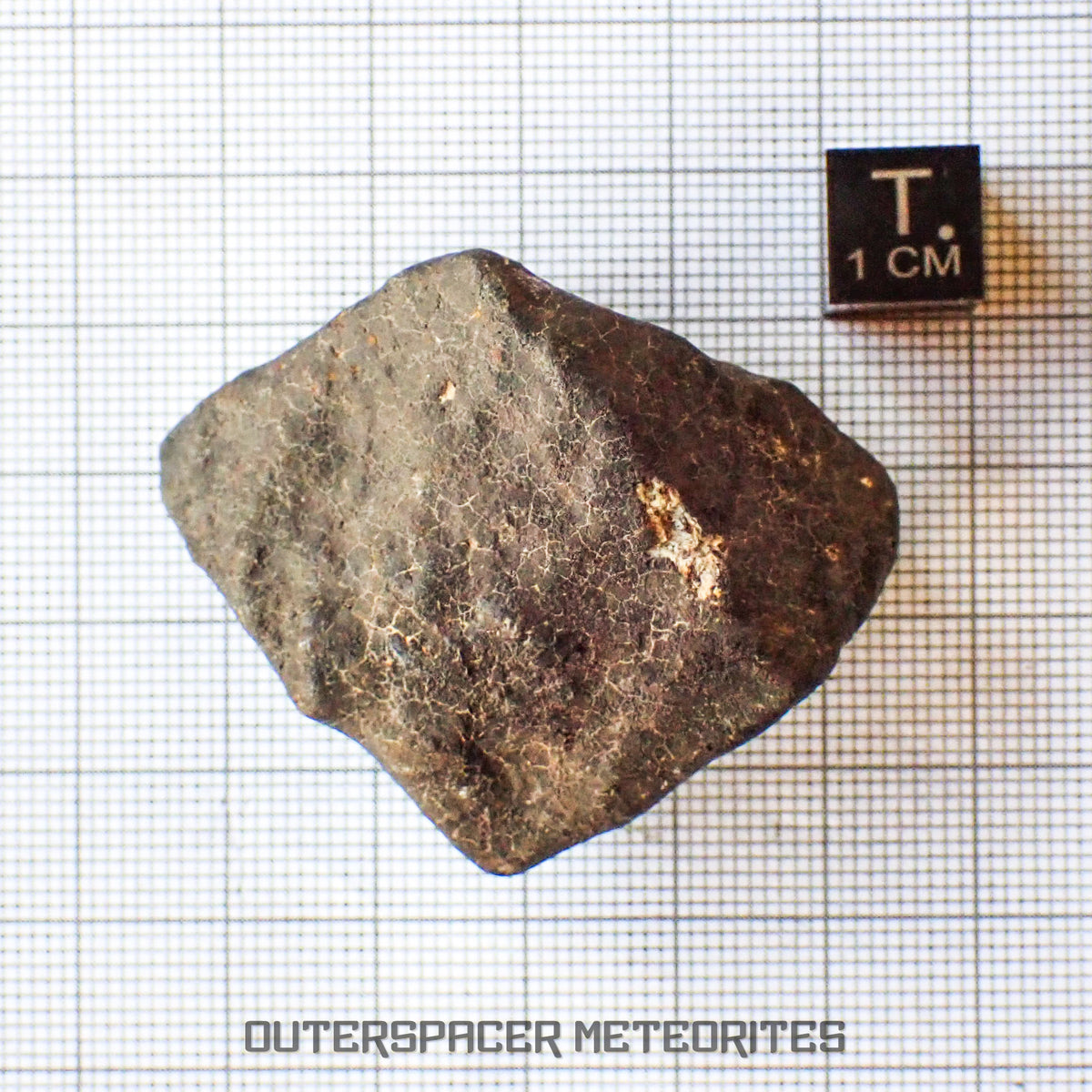 Hammadah al Hamra 346 (aka. Ghadamis) - L6 Ordinary Chondrite - Complete Individual - 61.2g - Libya