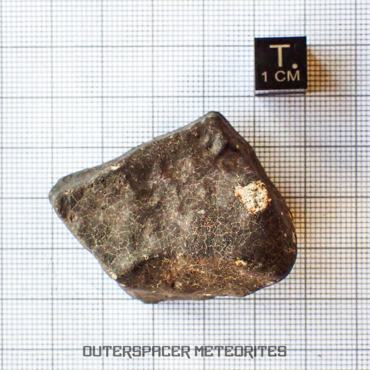 Hammadah al Hamra 346 (aka. Ghadamis) - L6 Ordinary Chondrite - Complete Individual - 61.2g - Libya