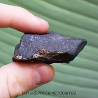Hammadah al Hamra 346 (aka. Ghadamis) - L6 Ordinary Chondrite - Complete Individual - 75.55g - Libya