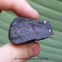 Hammadah al Hamra 346 (aka. Ghadamis) - L6 Ordinary Chondrite - Complete Individual - 75.55g - Libya