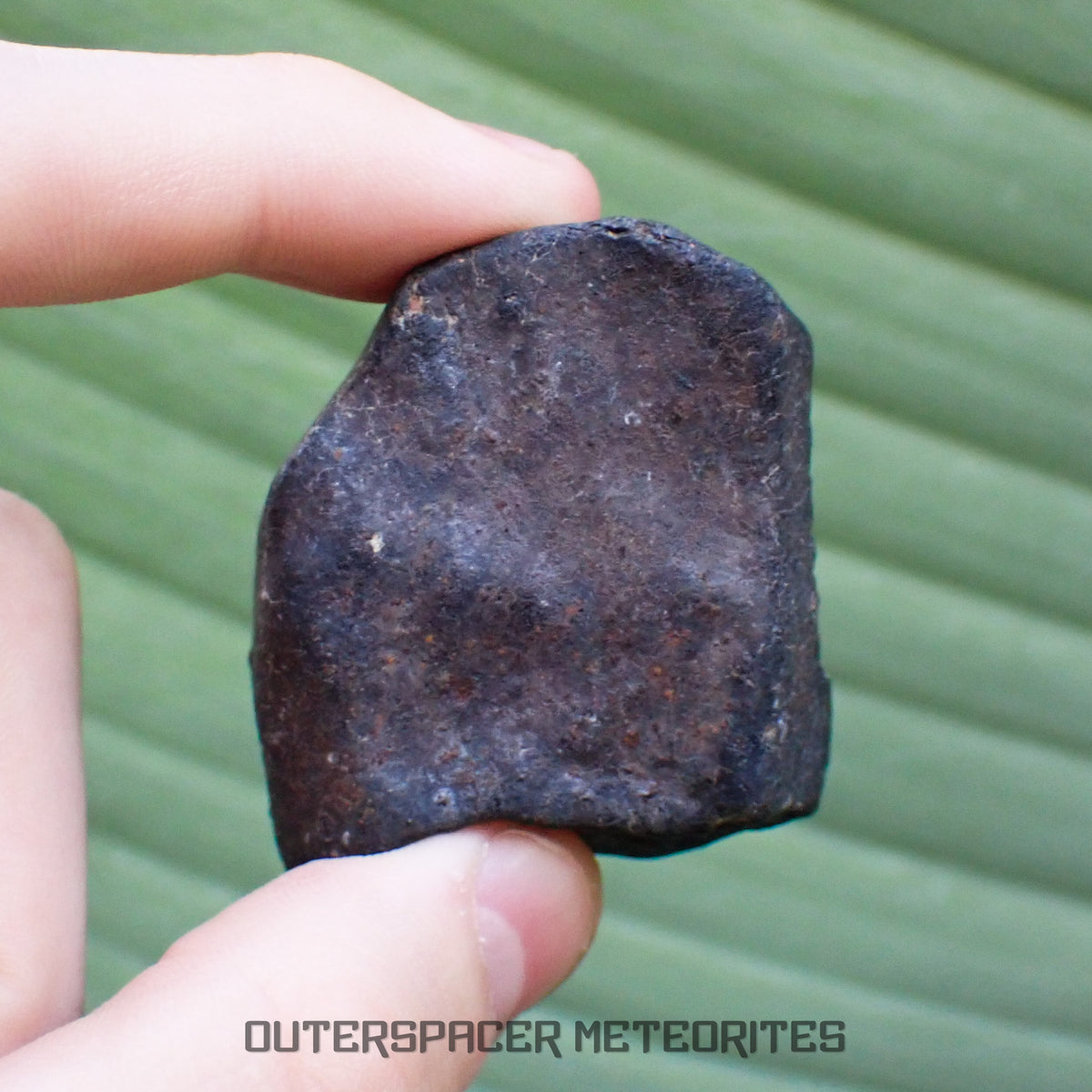 Hammadah al Hamra 346 (aka. Ghadamis) - L6 Ordinary Chondrite - Complete Individual - 75.55g - Libya