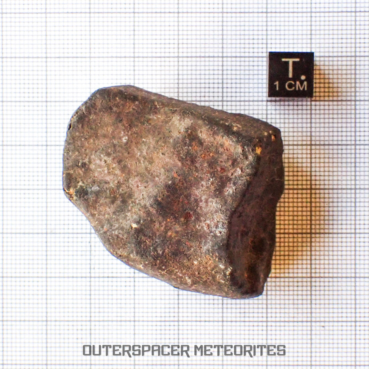Hammadah al Hamra 346 (aka. Ghadamis) - L6 Ordinary Chondrite - Complete Individual - 75.55g - Libya
