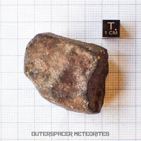 Hammadah al Hamra 346 (aka. Ghadamis) - L6 Ordinary Chondrite - Complete Individual - 75.55g - Libya