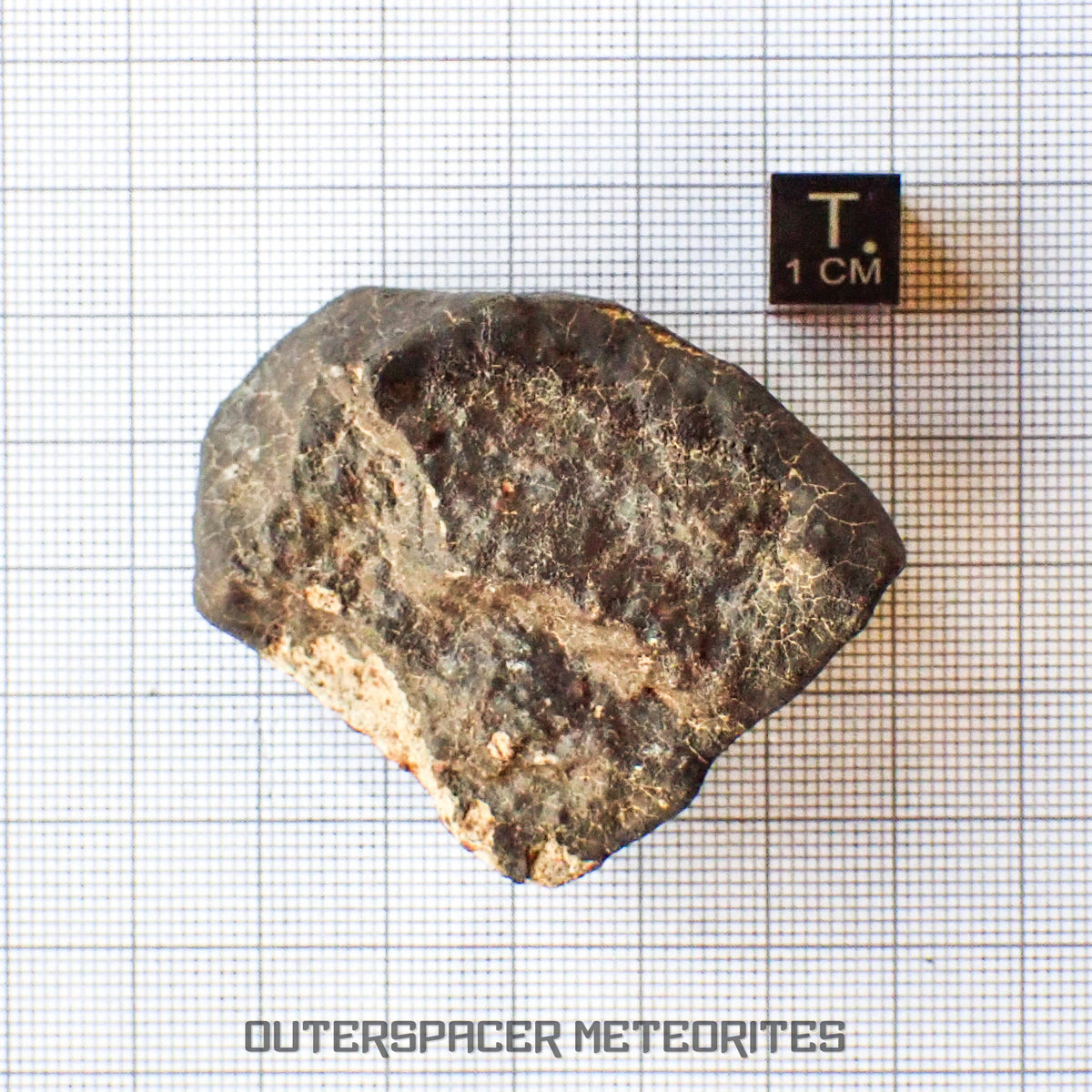 Hammadah al Hamra 346 (aka. Ghadamis) - L6 Ordinary Chondrite - Complete Individual - 75.55g - Libya