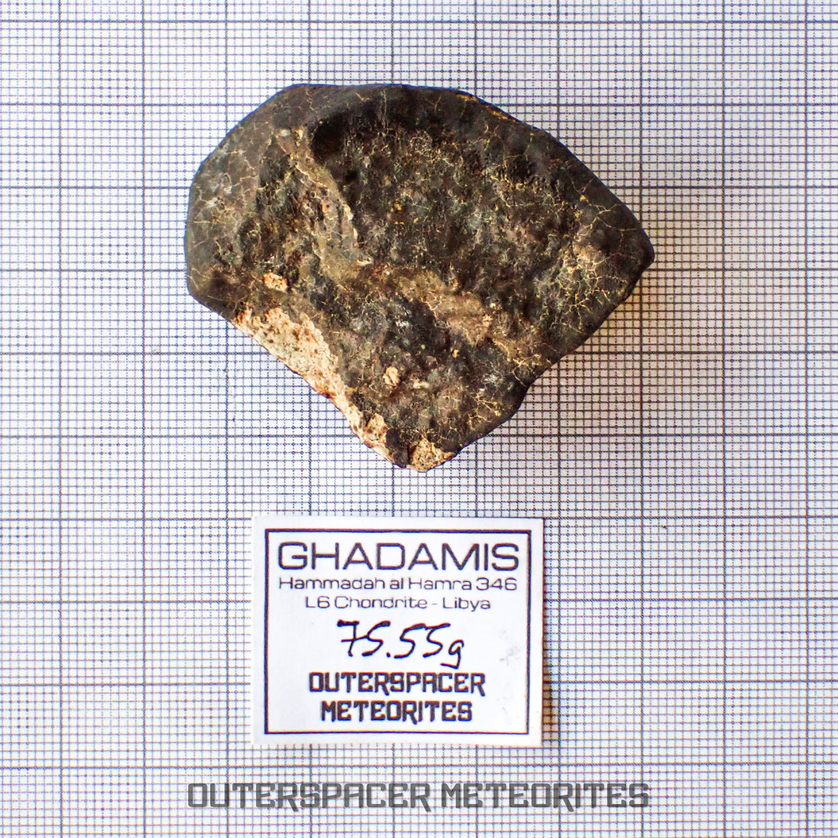 Hammadah al Hamra 346 (aka. Ghadamis) - L6 Ordinary Chondrite - Complete Individual - 75.55g - Libya