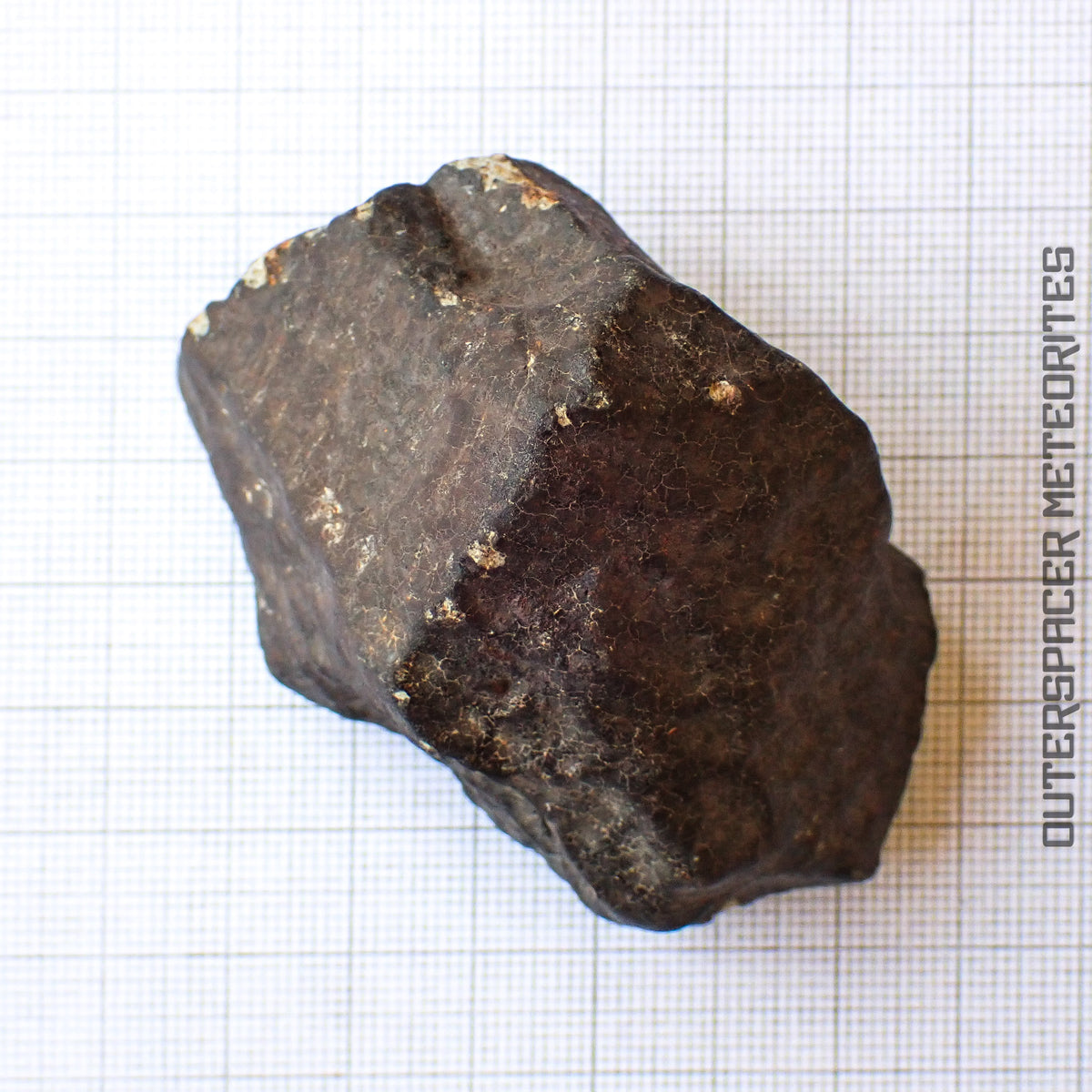 Hammadah al Hamra 346 (aka. Ghadamis) - L6 Ordinary Chondrite - Complete Individual - 206.1g - Libya