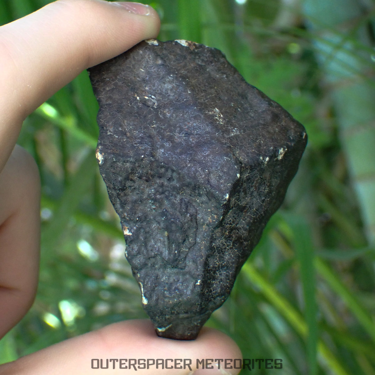Hammadah al Hamra 346 (aka. Ghadamis) - L6 Ordinary Chondrite - Complete Individual - 206.1g - Libya