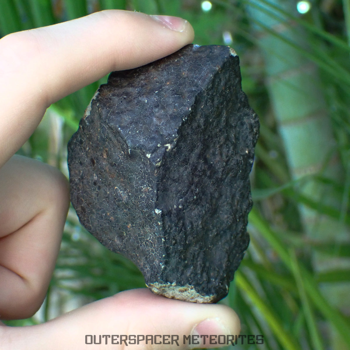 Hammadah al Hamra 346 (aka. Ghadamis) - L6 Ordinary Chondrite - Complete Individual - 206.1g - Libya
