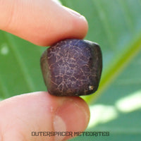Hammadah al Hamra 346 (aka. Ghadamis) - L6 Ordinary Chondrite - Complete Individual - 19.75g - Libya