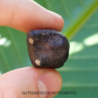 Hammadah al Hamra 346 (aka. Ghadamis) - L6 Ordinary Chondrite - Complete Individual - 19.75g - Libya