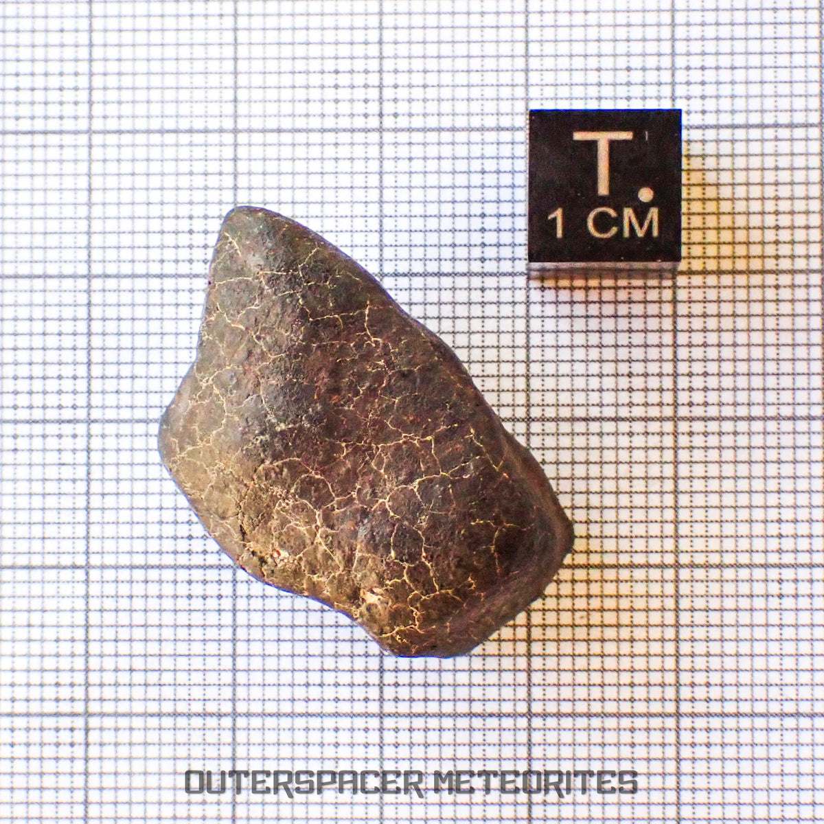 Hammadah al Hamra 346 (aka. Ghadamis) - L6 Ordinary Chondrite - Complete Individual - 19.75g - Libya