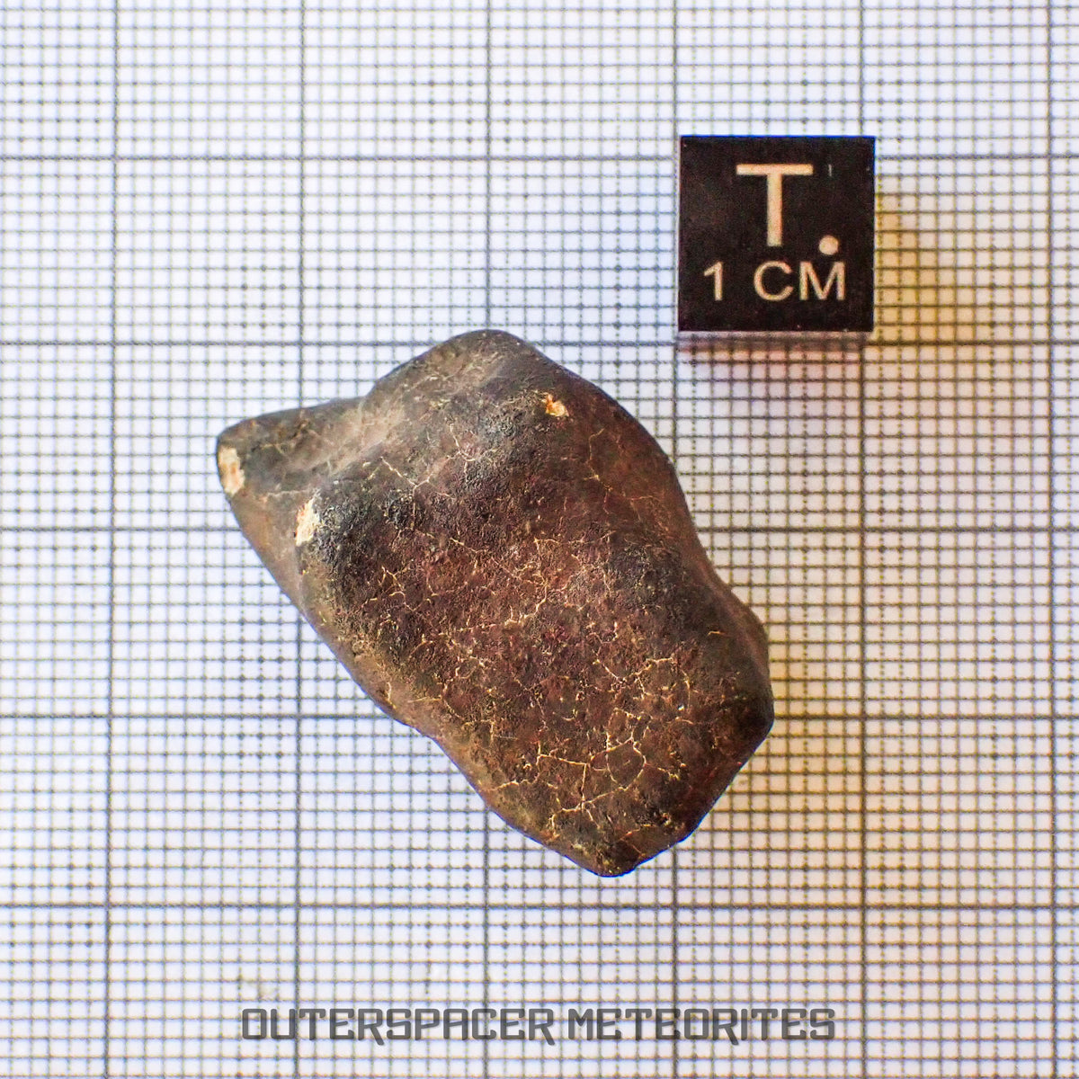 Hammadah al Hamra 346 (aka. Ghadamis) - L6 Ordinary Chondrite - Complete Individual - 19.75g - Libya