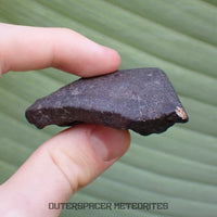 Hammadah al Hamra 346 (aka. Ghadamis) - L6 Ordinary Chondrite - Complete Individual - 67.55g - Libya