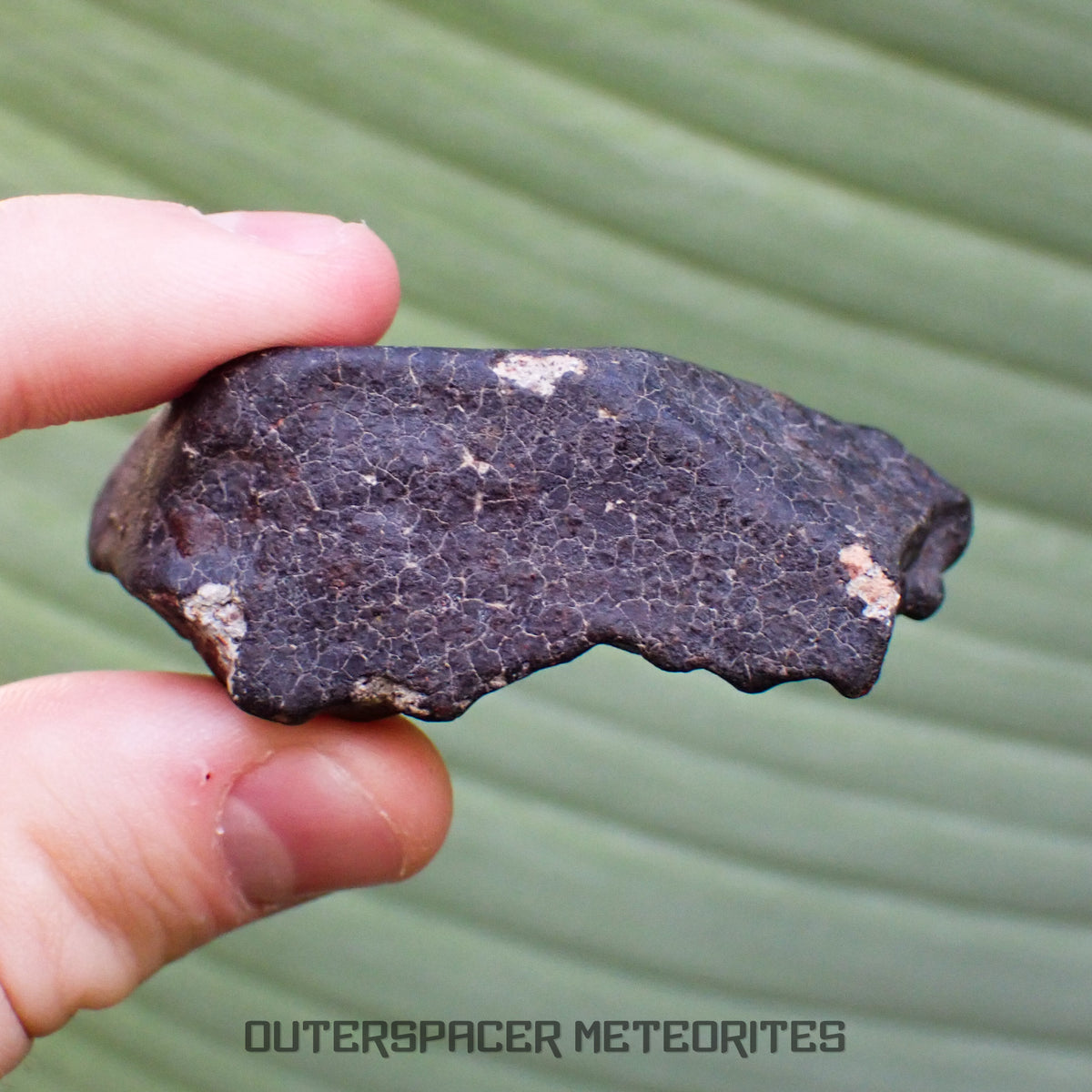 Hammadah al Hamra 346 (aka. Ghadamis) - L6 Ordinary Chondrite - Complete Individual - 67.55g - Libya