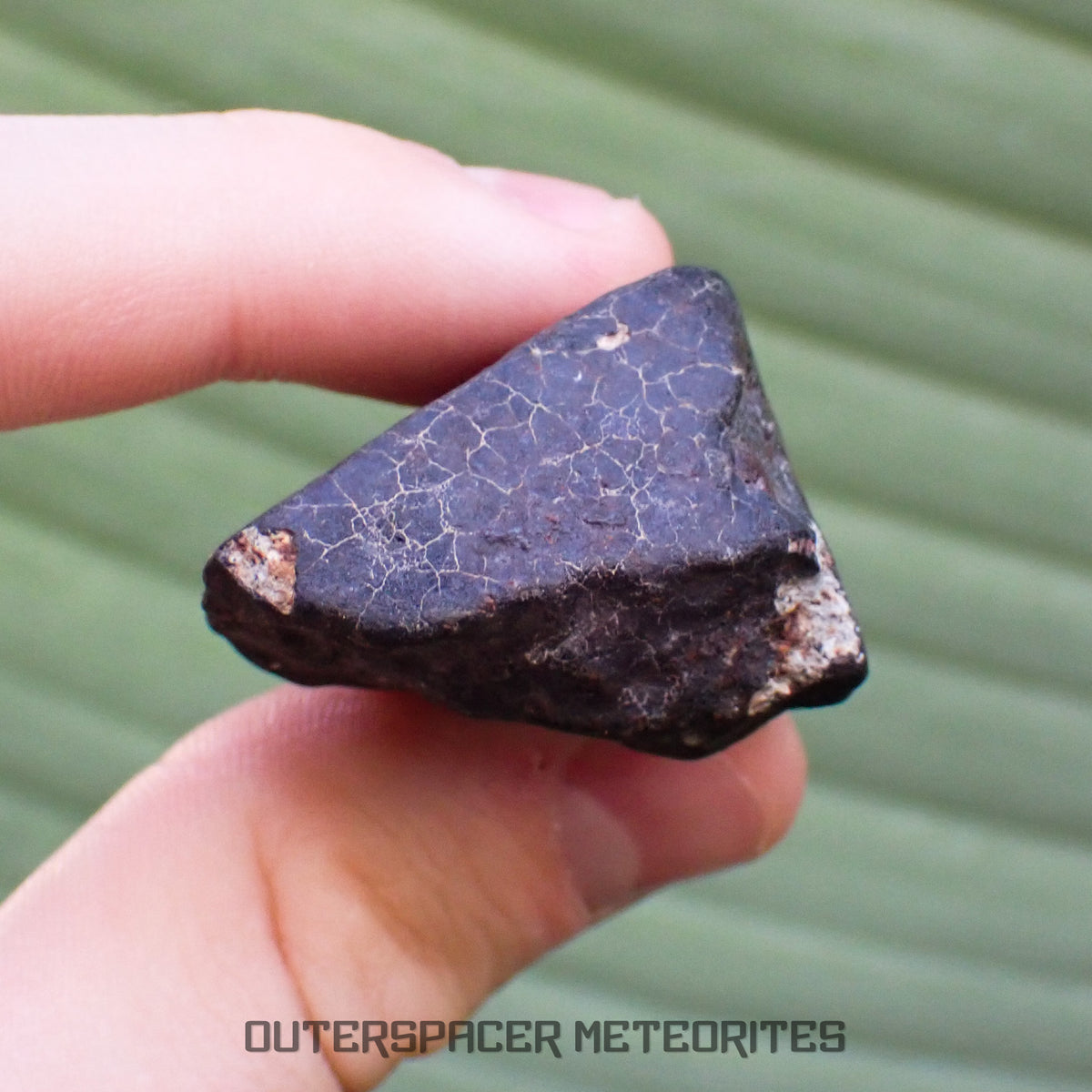 Hammadah al Hamra 346 (aka. Ghadamis) - L6 Ordinary Chondrite - Complete Individual - 67.55g - Libya