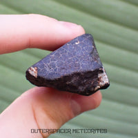 Hammadah al Hamra 346 (aka. Ghadamis) - L6 Ordinary Chondrite - Complete Individual - 67.55g - Libya