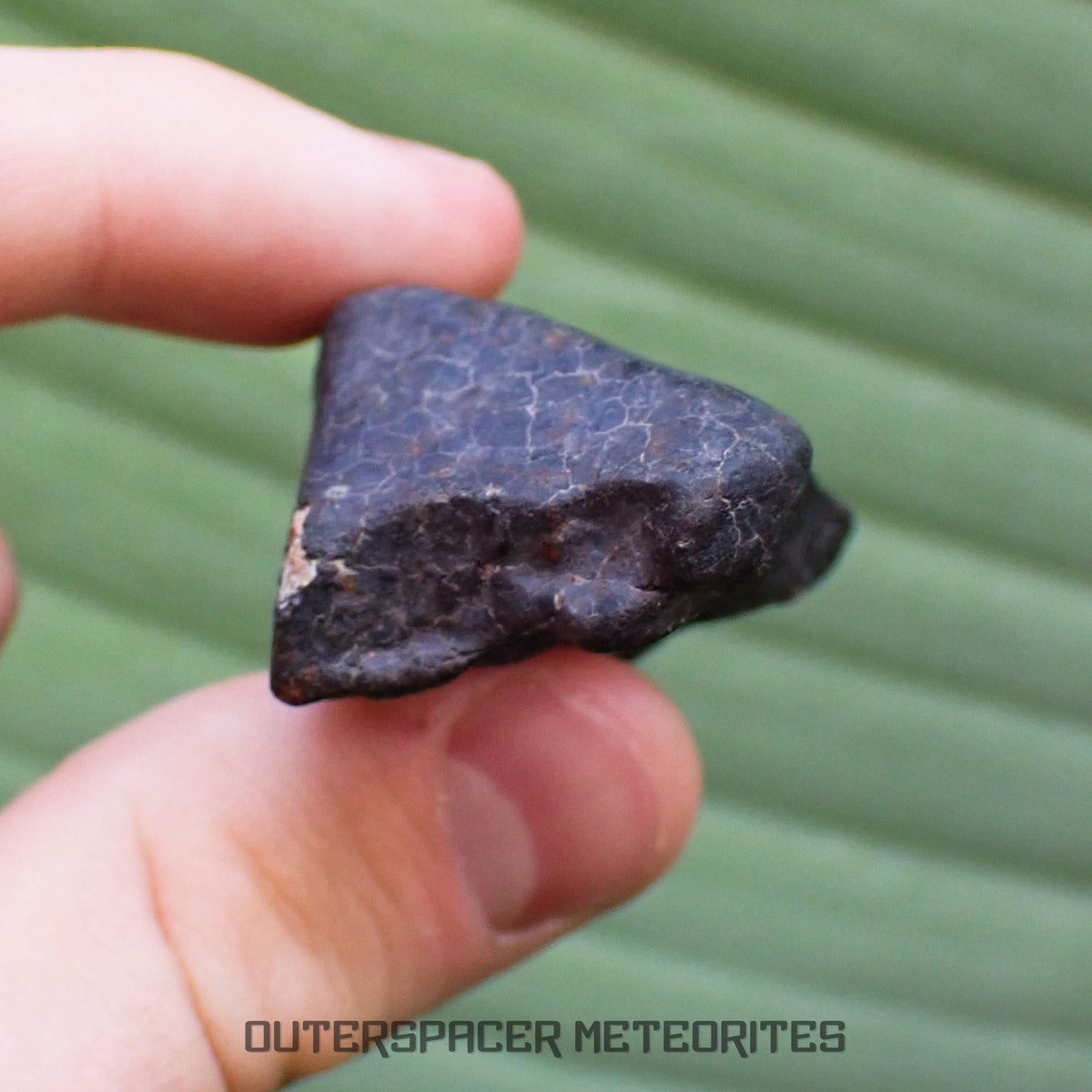 Hammadah al Hamra 346 (aka. Ghadamis) - L6 Ordinary Chondrite - Complete Individual - 67.55g - Libya