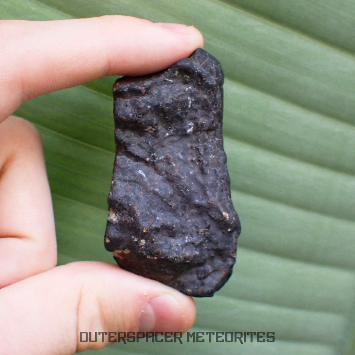 Hammadah al Hamra 346 (aka. Ghadamis) - L6 Ordinary Chondrite - Complete Individual - 67.55g - Libya